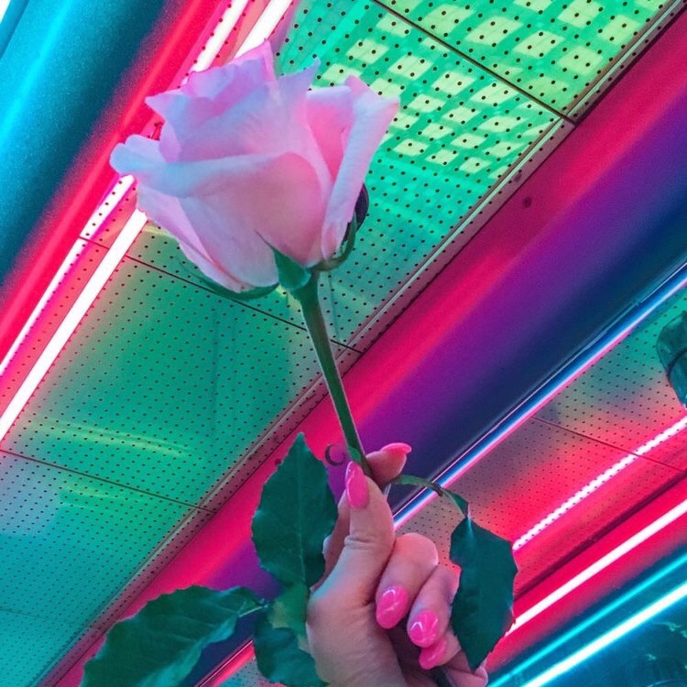 Meet your Posher, Kylie